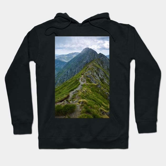 Mountaineous summer landscape Hoodie by naturalis